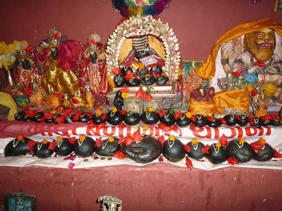 शालिग्राम शिलालाई आज कुश्माबजारमा रथयात्रा गराईदै