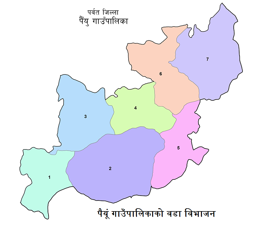 पर्वत पैँयु :गुणस्तरीय स्वास्थ्य संस्था नहुँदा सुत्केरीको ज्यान गयो
