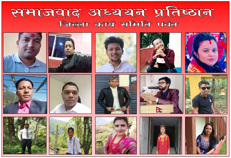 पर्वतमा समाजबाद अध्ययन प्रतिष्ठान गठन, अध्यक्षमा आचार्य