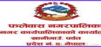 एकिकृत सम्पत्ती करको तथ्याङक संकलनमा समस्या