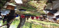 फलेबास नगरपालिकामा गुनासो संकलन अभियान