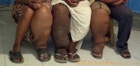 पर्वतमा हात्तिपाईले रोगको संक्रमण कायमै
