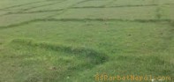 पर्वतमा जमिन बाँझिँदै, कारवाहि फितलो
