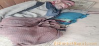 जलजलामा दुई गाउँका युवा बीच झडप (भिडियो सहित)